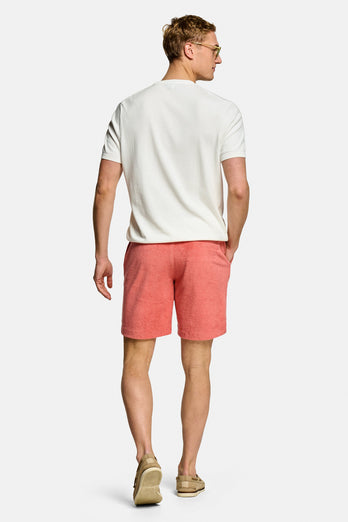 Bricks * The Short Terries Bricks * The Short Terries