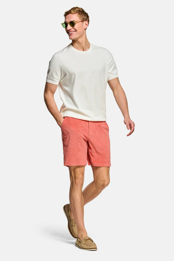 Bricks * The Short Terries Bricks * The Short Terries