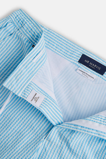 Aristons * The Seersucker Swims turquoise blue & white striped men's swim shorts | MR MARVIS