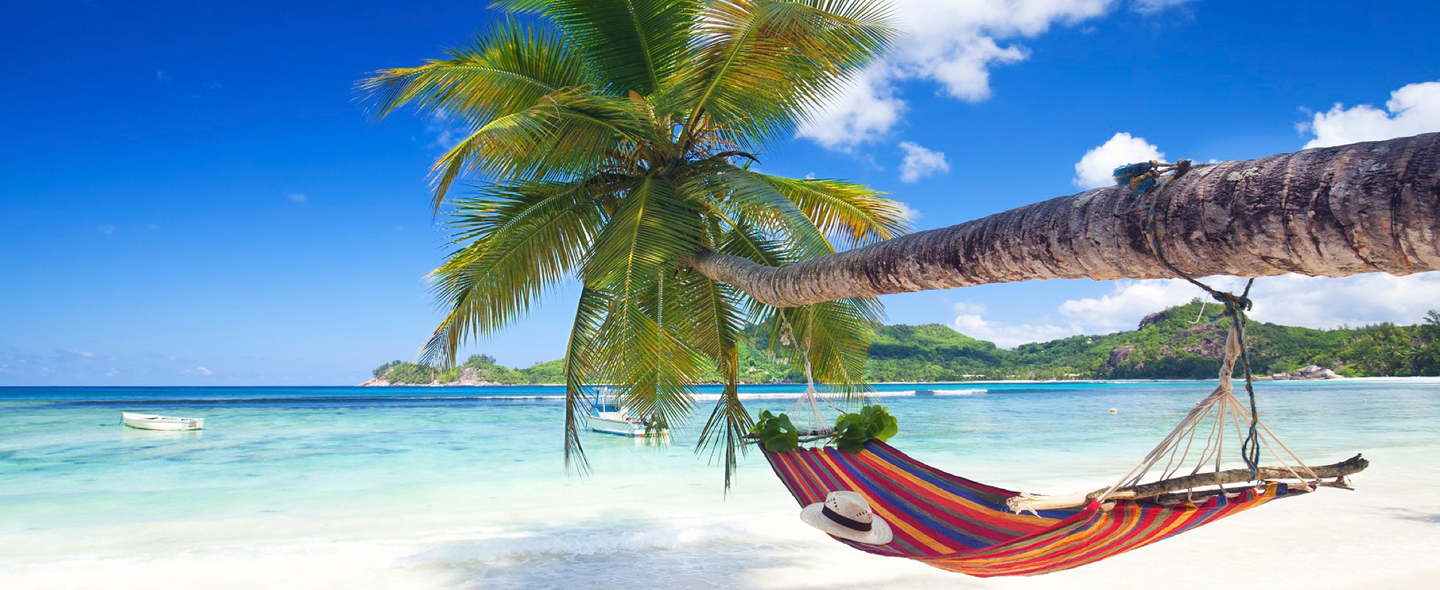 It's always summer somewhere