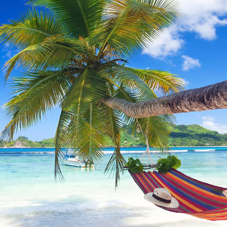 It's always summer somewhere