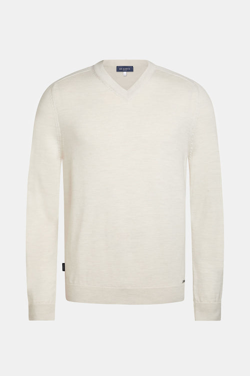 Coconuts * The Merino V-neck