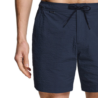 Cosmics * The Seersucker Swims