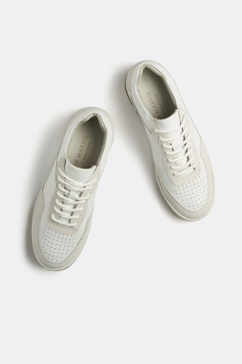 Baristas * The Classic Sneakers